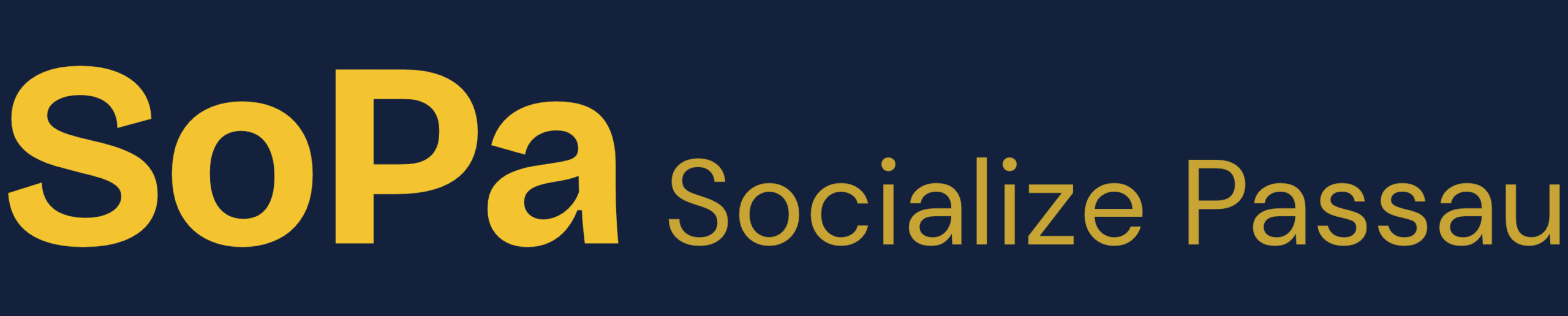 socialize-passau.de